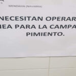 operarios para campaña de pimientos
