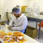 envasandor de farmaceutica