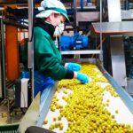 l grupo Acesur, la compañía española líder en envasado de aceite de oliva busca personal